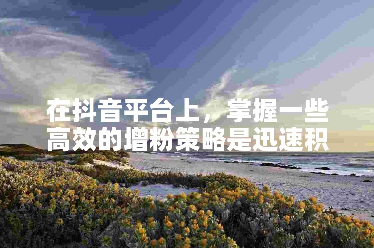 在抖音平台上，掌握一些高效的增粉策略是迅速积累10000粉丝的关键。