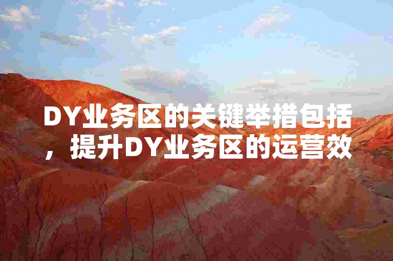 DY业务区的关键举措包括，提升DY业务区的运营效率与市场潜力研究！新手指南！