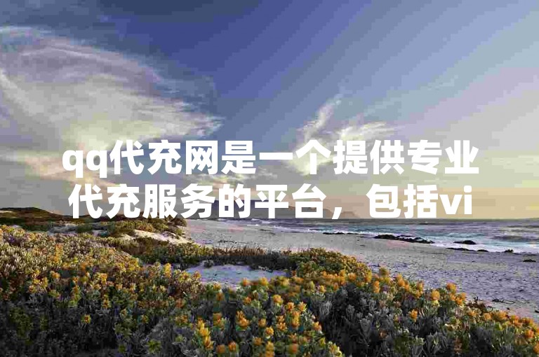 qq代充网是一个提供专业代充服务的平台，包括vip网站的充值。