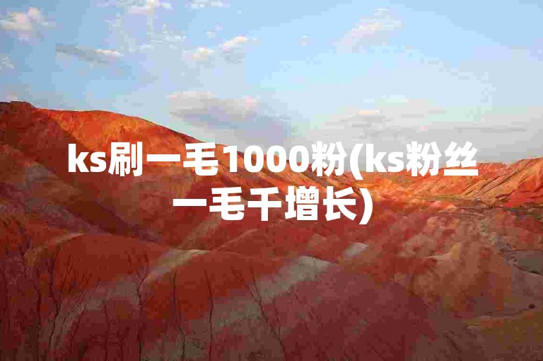 ks刷一毛1000粉(ks粉丝一毛千增长)