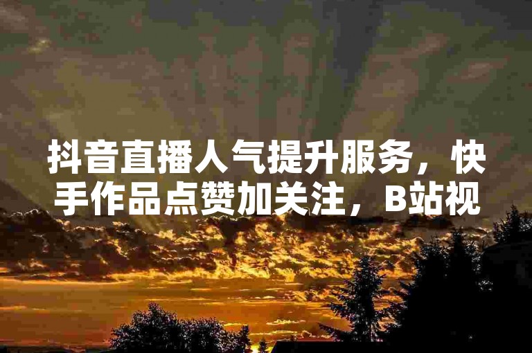 抖音直播人气提升服务，快手作品点赞加关注，B站视频弹幕定制。