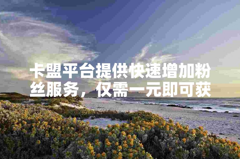 卡盟平台提供快速增加粉丝服务，仅需一元即可获得1000个活跃的快手或B站粉丝。