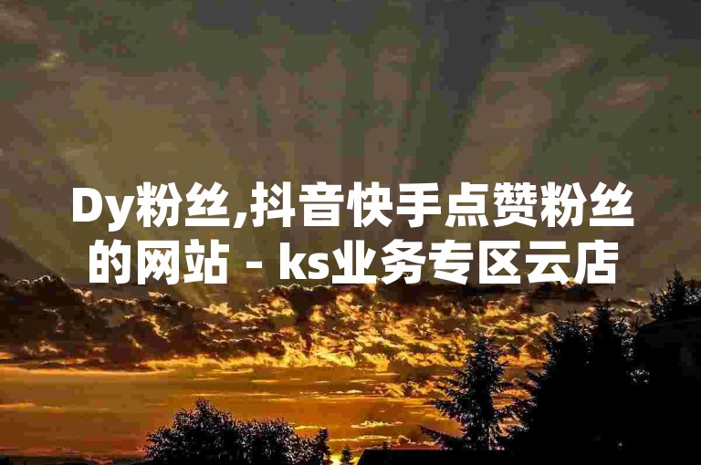 Dy粉丝,抖音快手点赞粉丝的网站 - ks业务专区云店商城 - ks24h自助下单震撼发布!