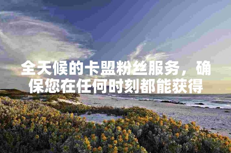 全天候的卡盟粉丝服务，确保您在任何时刻都能获得支持。