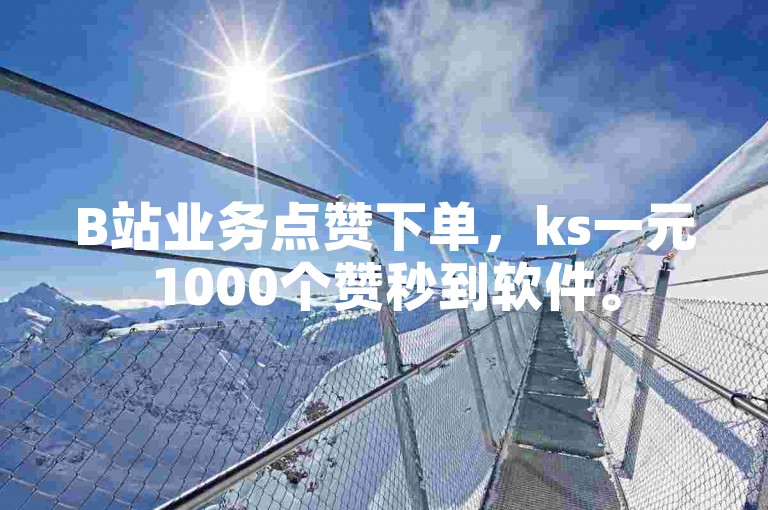 B站业务点赞下单，ks一元1000个赞秒到软件。