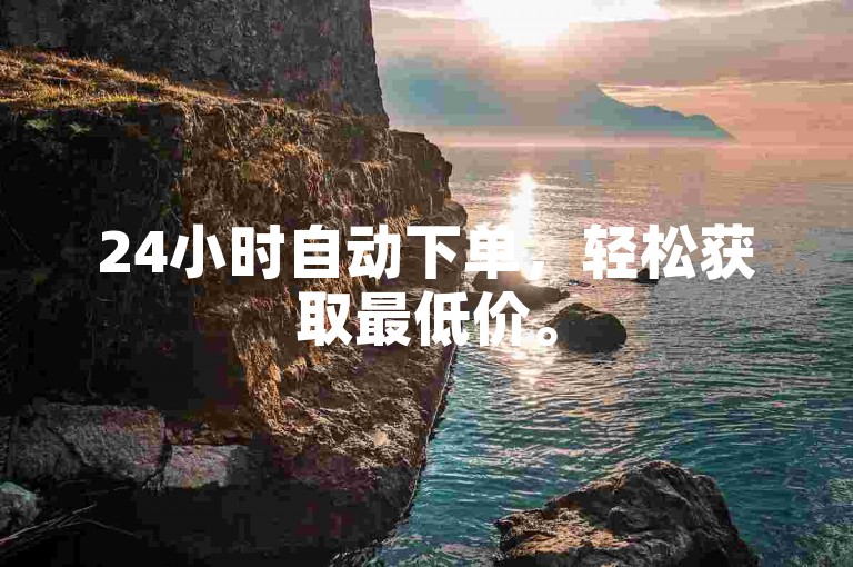 24小时自动下单，轻松获取最低价。