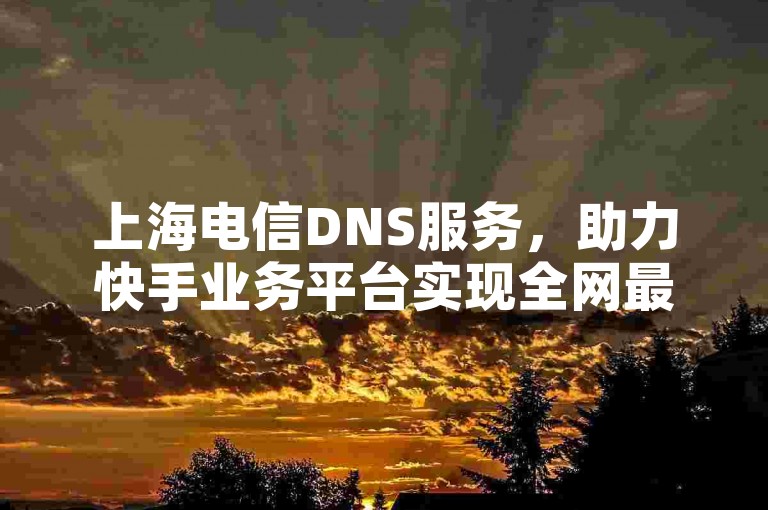 上海电信DNS服务，助力快手业务平台实现全网最低价策略。