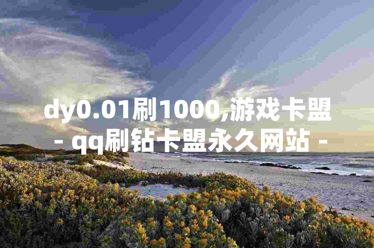 dy0.01刷1000,游戏卡盟 - qq刷钻卡盟永久网站 - 0.3元一万赞