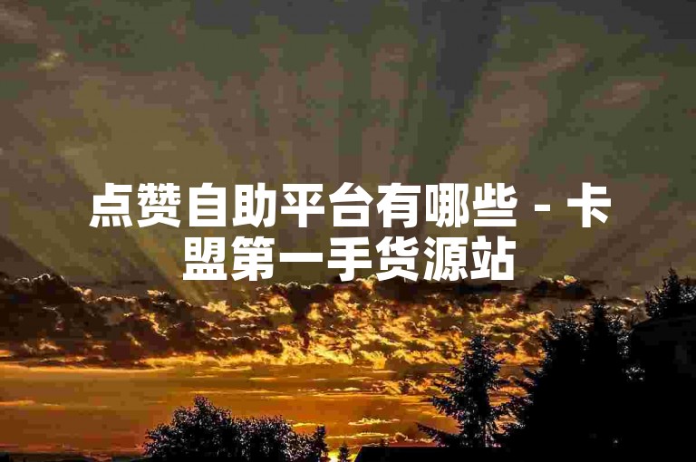 点赞自助平台有哪些 - 卡盟第一手货源站
