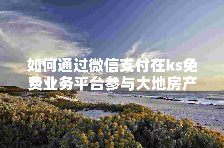 如何通过微信支付在ks免费业务平台参与大地房产马山肥装修活动并获取qq个性标签的点赞信息？