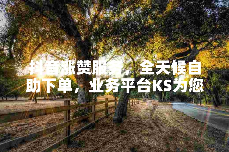 抖音涨赞服务，全天候自助下单，业务平台KS为您助力。