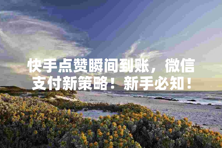 快手点赞瞬间到账，微信支付新策略！新手必知！