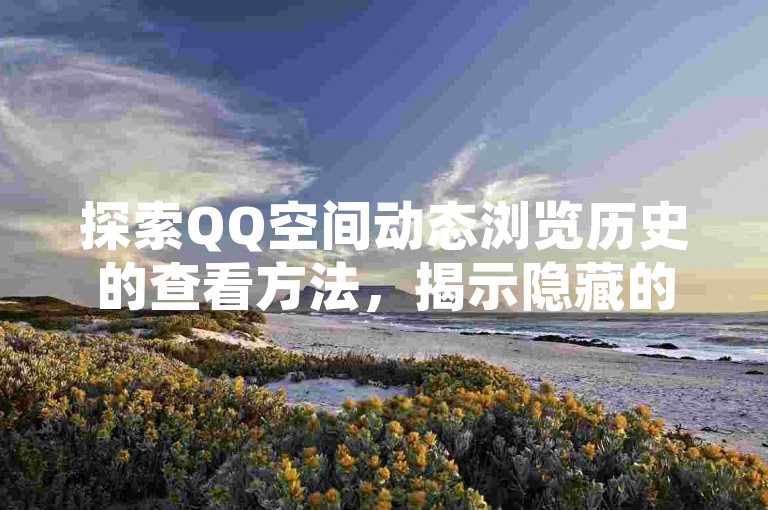 探索QQ空间动态浏览历史的查看方法，揭示隐藏的访问足迹。