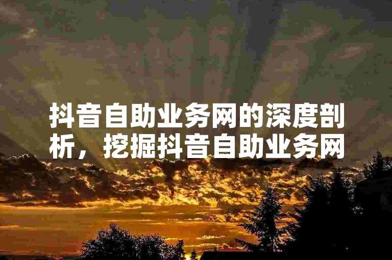 抖音自助业务网的深度剖析，挖掘抖音自助业务网的潜在价值与创新用途！2024必备知识