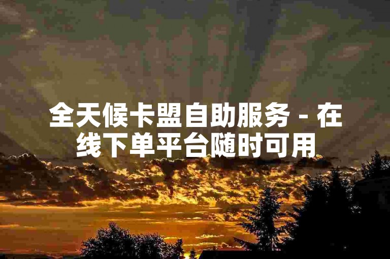 全天候卡盟自助服务 - 在线下单平台随时可用