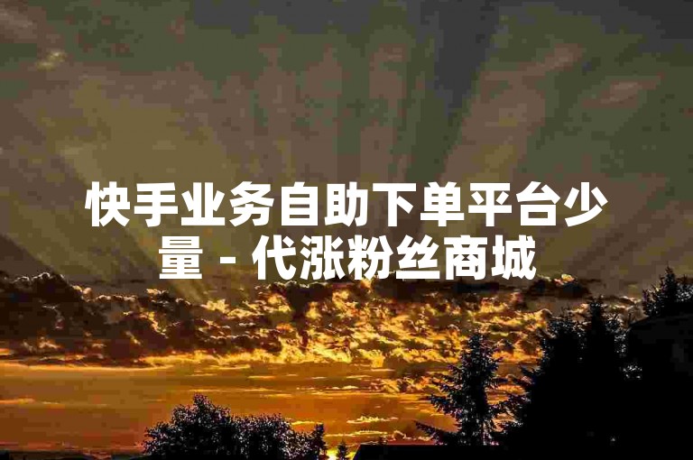 快手业务自助下单平台少量 - 代涨粉丝商城