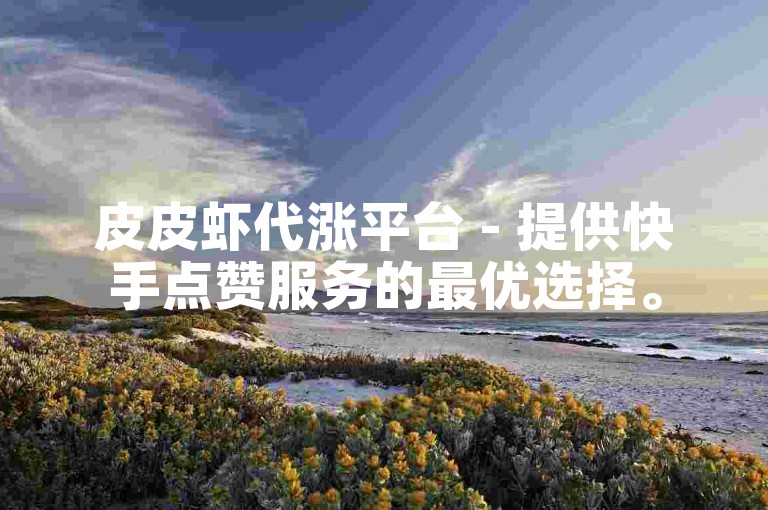 皮皮虾代涨平台 - 提供快手点赞服务的最优选择。
