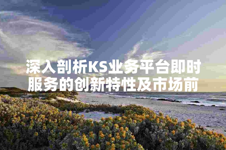 深入剖析KS业务平台即时服务的创新特性及市场前景，推动企业达成资金流动效率和业务增长的双重目标。