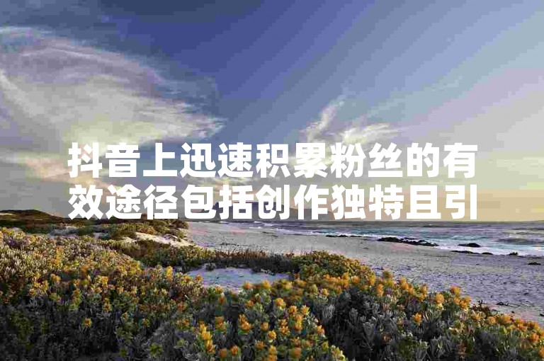 抖音上迅速积累粉丝的有效途径包括创作独特且引人入胜的内容、利用热门话题和挑战以及与其他用户互动。
