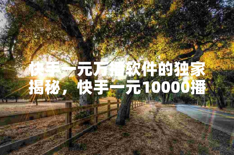 快手一元万播软件的独家揭秘，快手一元10000播放量软件，轻松助力你的视频播放量！2025必学。