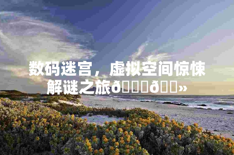 数码迷宫，虚拟空间惊悚解谜之旅🔍👻