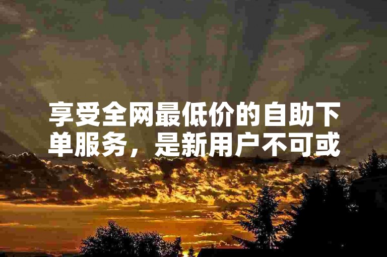 享受全网最低价的自助下单服务，是新用户不可或缺的优惠选择！
