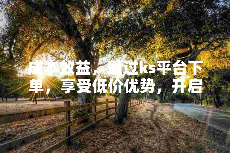 成本效益，通过ks平台下单，享受低价优势，开启更多商机之门。
