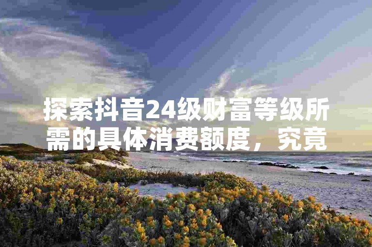 探索抖音24级财富等级所需的具体消费额度，究竟需要投入多少资金才能达到抖音24级的财富高度？2025年你必须掌握的知识！