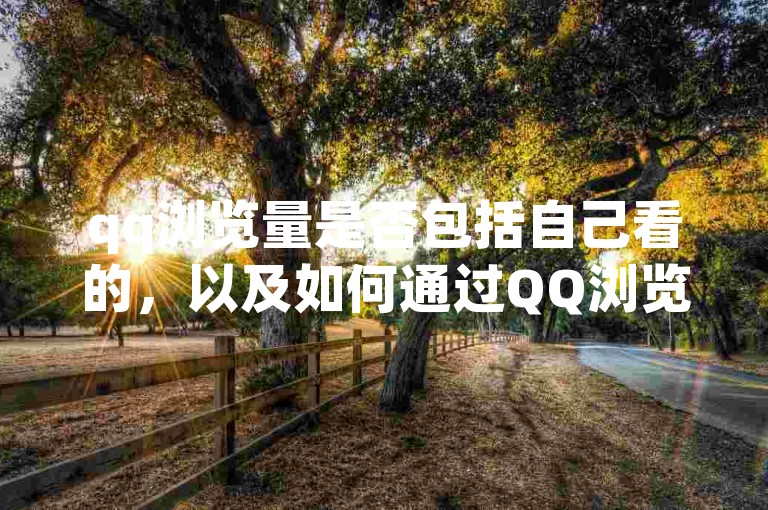 qq浏览量是否包括自己看的，以及如何通过QQ浏览量统计来分析个人浏览历史。