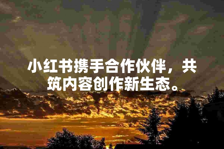 小红书携手合作伙伴，共筑内容创作新生态。