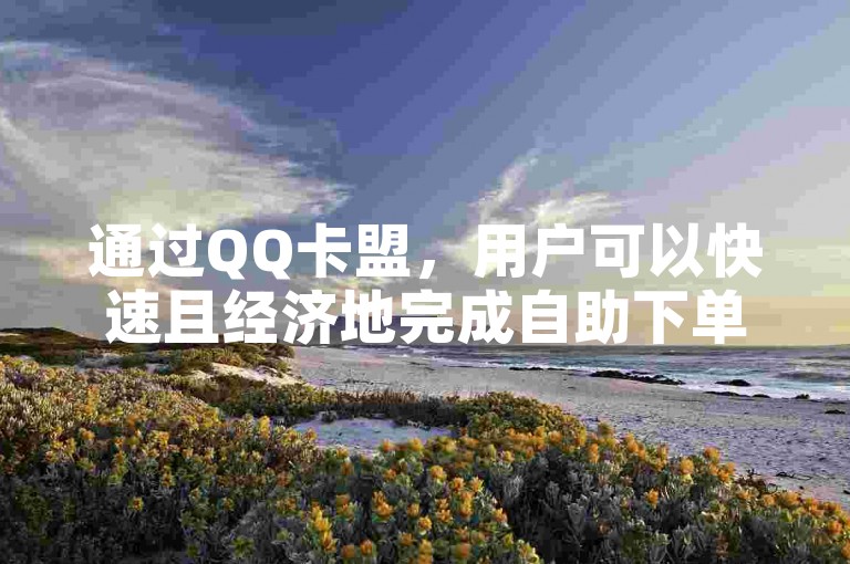 通过QQ卡盟，用户可以快速且经济地完成自助下单。