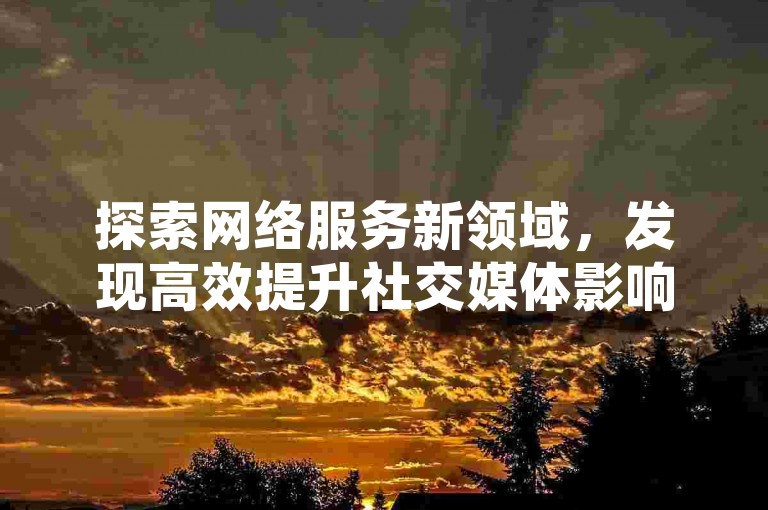 探索网络服务新领域，发现高效提升社交媒体影响力的专业平台。