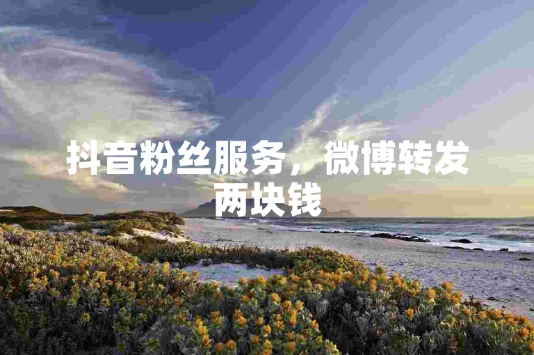 抖音粉丝服务，微博转发两块钱500次 - 五分钱1500浏览量小红书运营 - 视频推广200元一周。