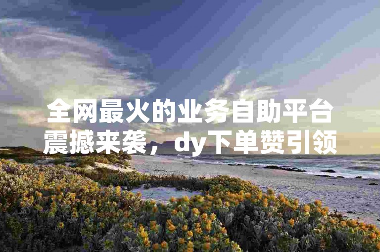 全网最火的业务自助平台震撼来袭，dy下单赞引领新潮流！