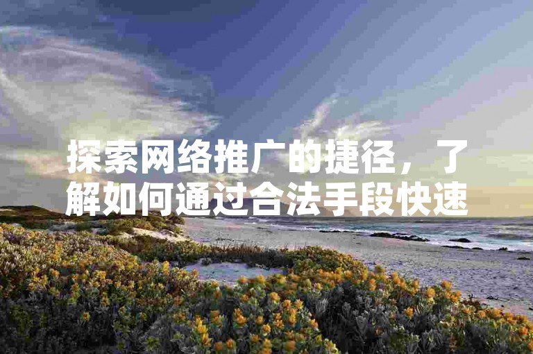 探索网络推广的捷径，了解如何通过合法手段快速增加社交媒体关注者。