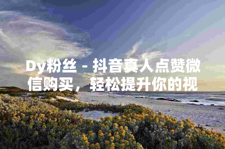 Dy粉丝 - 抖音真人点赞微信购买，轻松提升你的视频热度。