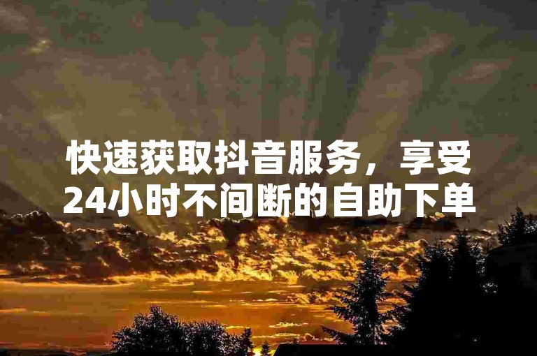 快速获取抖音服务，享受24小时不间断的自助下单体验。