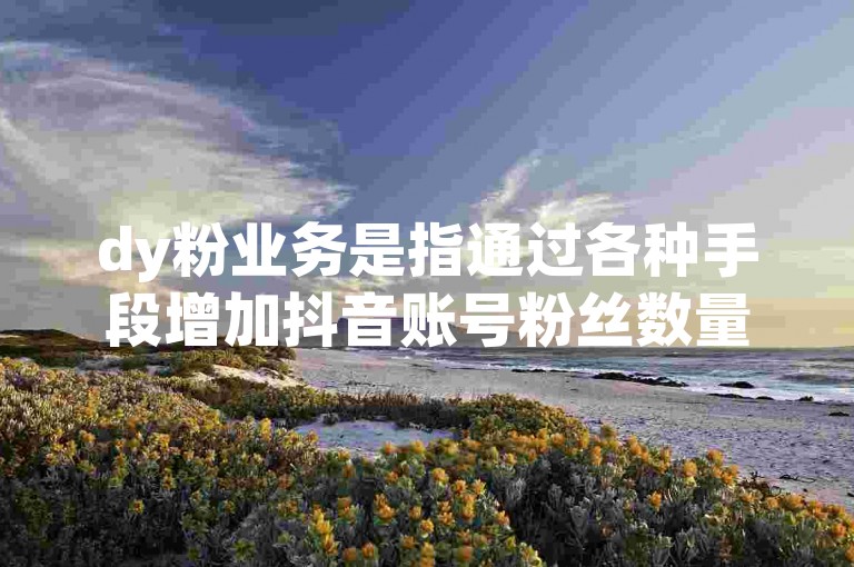 dy粉业务是指通过各种手段增加抖音账号粉丝数量的服务。