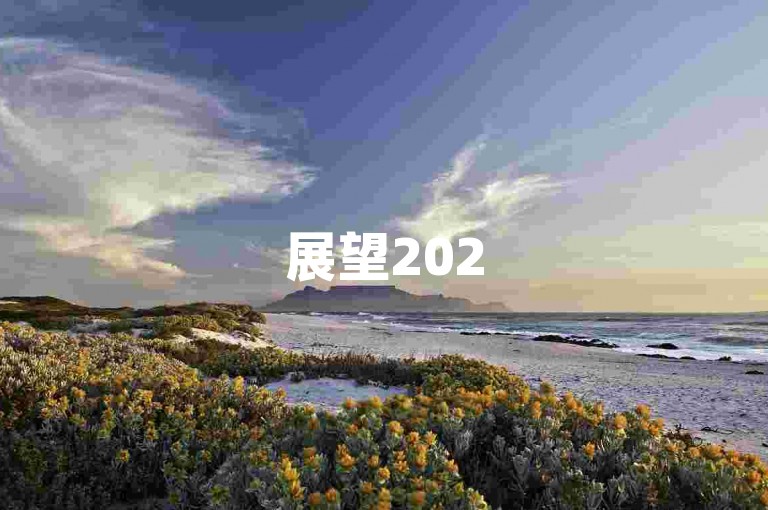 展望2025年，拼多多将携手广大社群共创未来。