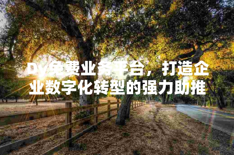 Dy免费业务平台，打造企业数字化转型的强力助推器。