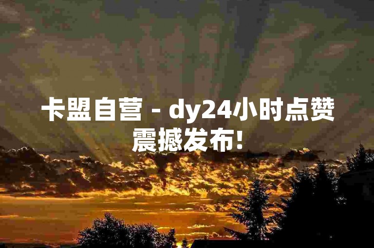 卡盟自营 - dy24小时点赞震撼发布!