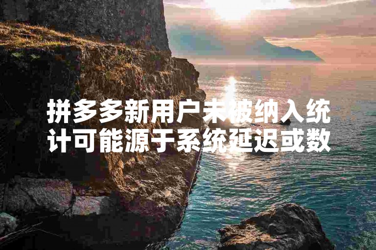拼多多新用户未被纳入统计可能源于系统延迟或数据同步问题。