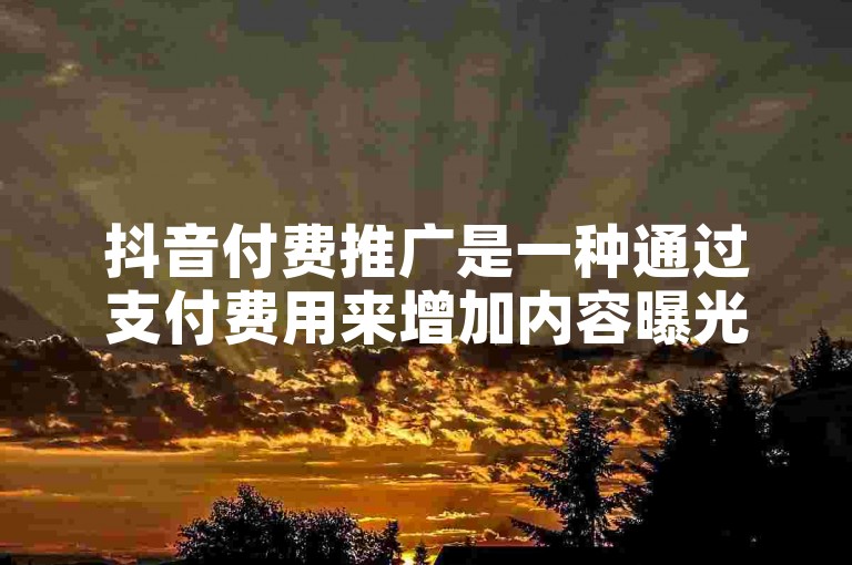抖音付费推广是一种通过支付费用来增加内容曝光度和用户互动的营销方式，其产品包括多种形式的广告投放选项。