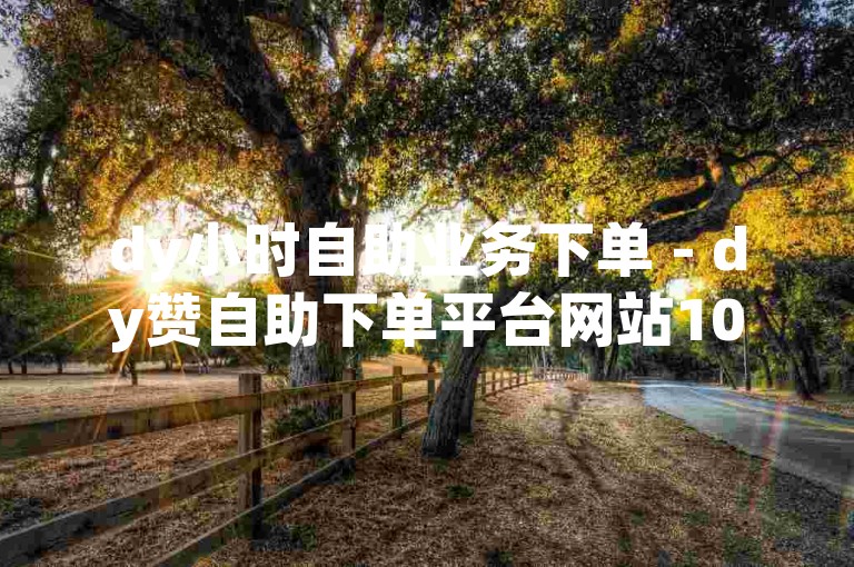dy小时自助业务下单 - dy赞自助下单平台网站10个，提供便捷的在线服务。