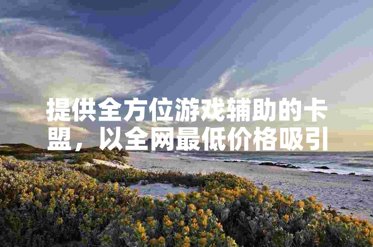 提供全方位游戏辅助的卡盟，以全网最低价格吸引众多玩家。