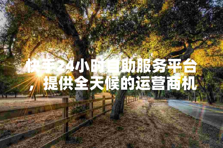 快手24小时自助服务平台，提供全天候的运营商机解析服务。