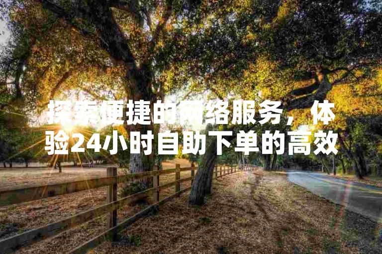 探索便捷的网络服务，体验24小时自助下单的高效与便捷。