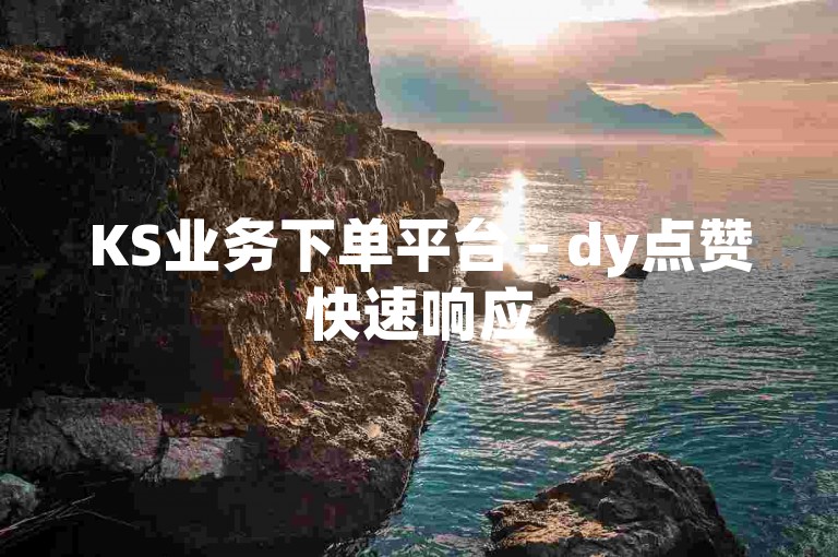 KS业务下单平台 - dy点赞快速响应