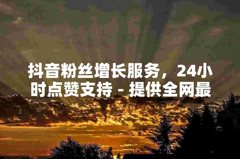 抖音粉丝增长服务，24小时点赞支持 - 提供全网最优惠的自助下单体验，让你的抖音之旅更加精彩！