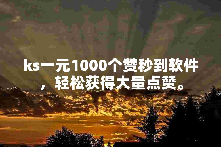 ks一元1000个赞秒到软件，轻松获得大量点赞。